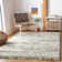 Mashburn Performance Abstract Rug