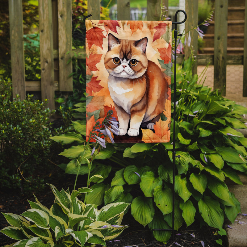 Chat en feuilles d'automne drapeau de jardin, Poil court exotique