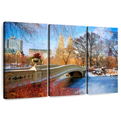 Rorry Frozen Central Park Bow Bridge NYC