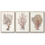 Sandstone Peel I - ensemble de 3 reproductions sur toile-97706498-97706496