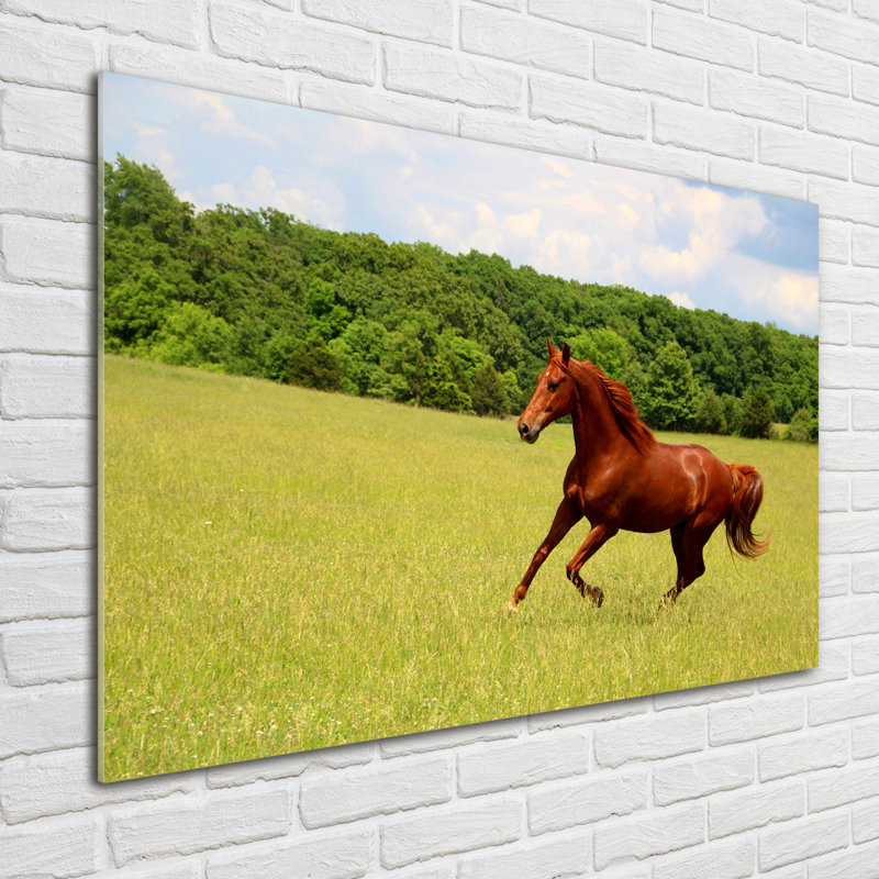 Horse On The Meadow - Unframed Art Prints on Glass