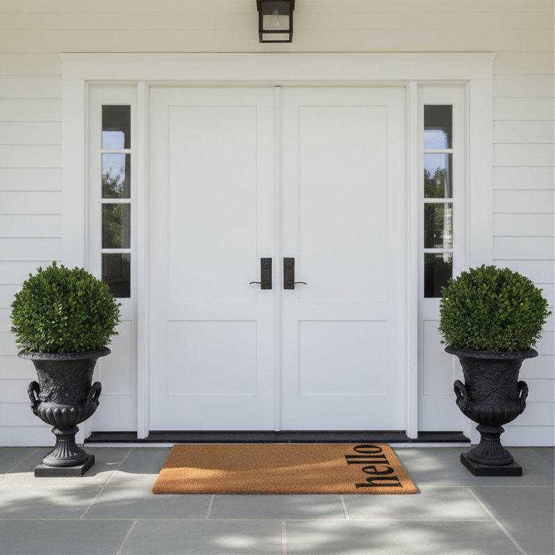 Arnitha Non-Slip Outdoor Doormat, Natural/Black, Rectangle 2'6" x 4'