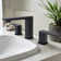 Lulani Widespread Bathroom Faucet with Drain Assembly