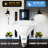 Par38 DTD 5000K Light Bulbs