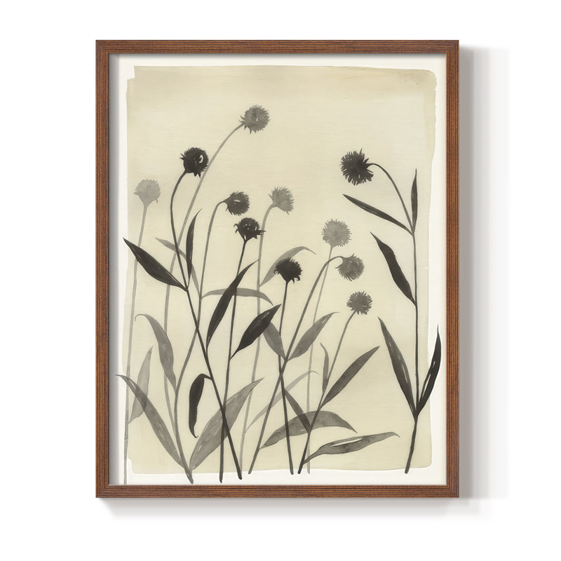 Summer Echinachea I Framed Print - Solid Wood, H 11 po x l 9 po, Noyer