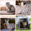 Velours imprimé animal-97639239-97639240
