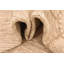 Tapis beige Orpheus