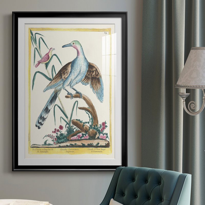 Oiseaux pastel V - imprimé, H 24,5 po x l 18,5 po x P 1 po, Noir