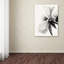 « translucide pivoine ivbw », reproduction sur toile tendue-22563523
