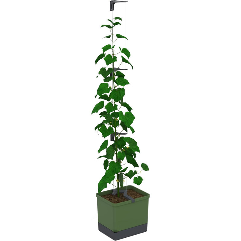 Curt Cucumber Pot - Self watering Planter Pot with Trellis for Cucumbers, 20L soil capacity, Green