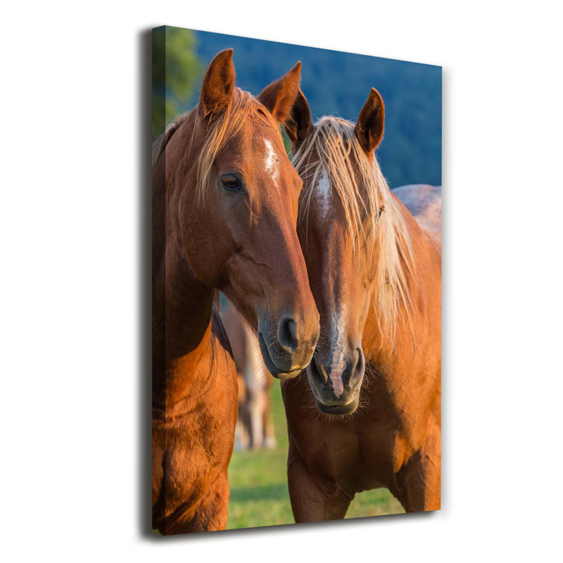 Two Horses - Wrapped Canvas Print