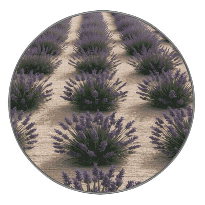 Machine Washable Botanical Gray Area Rug