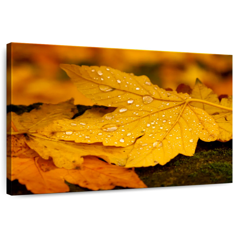 Harnek Autumn Water Droplets, 24" H x 36" W