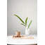 Rouleau de papier peint L 27 pi x l 27 po-1406673144