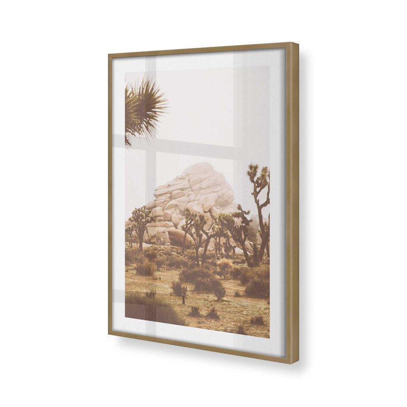 Joshua Tree Vista Print, dans un cadre,, Cadre noir satiné, H 21 po x l 17 po x P 1,25 po