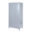 Buchheit 2 Door Steel Wardrobe-39864695