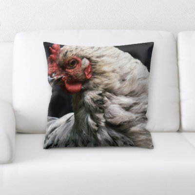 Coussin oiseau
