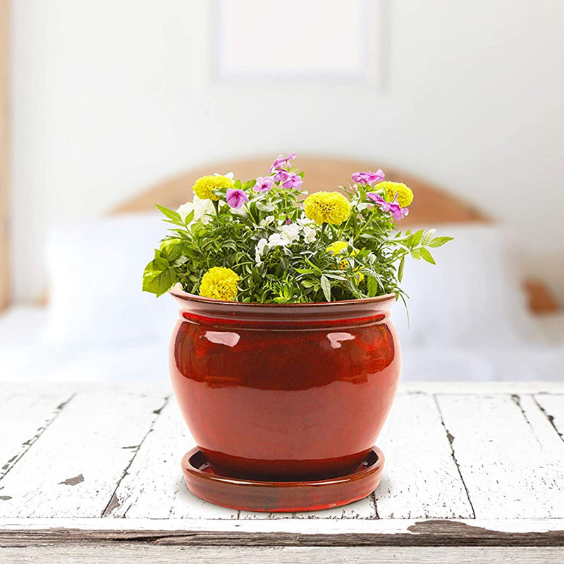 Ceramic Pot Planter
