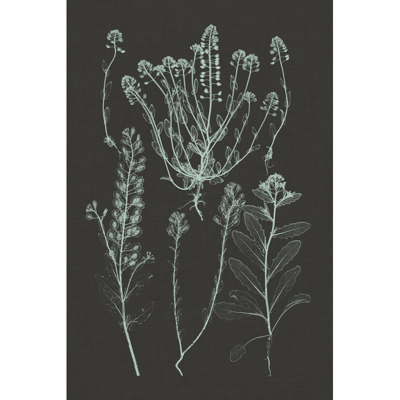 Mint & Charcoal Nature Study III by Vision Studio - Wrapped Canvas Painting, 46cm H x 30cm W