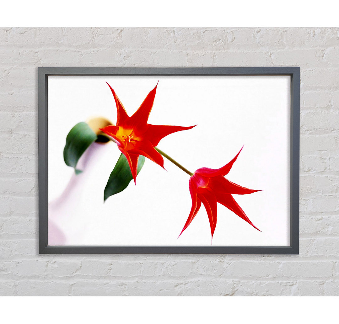 Gerahmtes Wandbild Twin Fire Tulip Centre