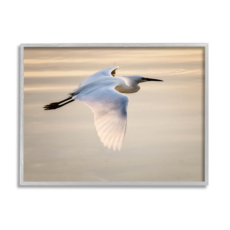 Aigrette glissant vue aérienne, art numérique par David Lorenz, H 24 po x l 30 po x P 1,5 po, Estampe numérique Farmhouse