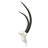 Tianey Trophy Sable Antelope Skull