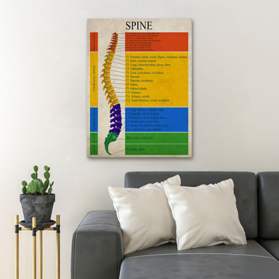 Spine Analysis - Spine - 1 Piece Rectangle Graphic Art Print On Wrapped Canvas