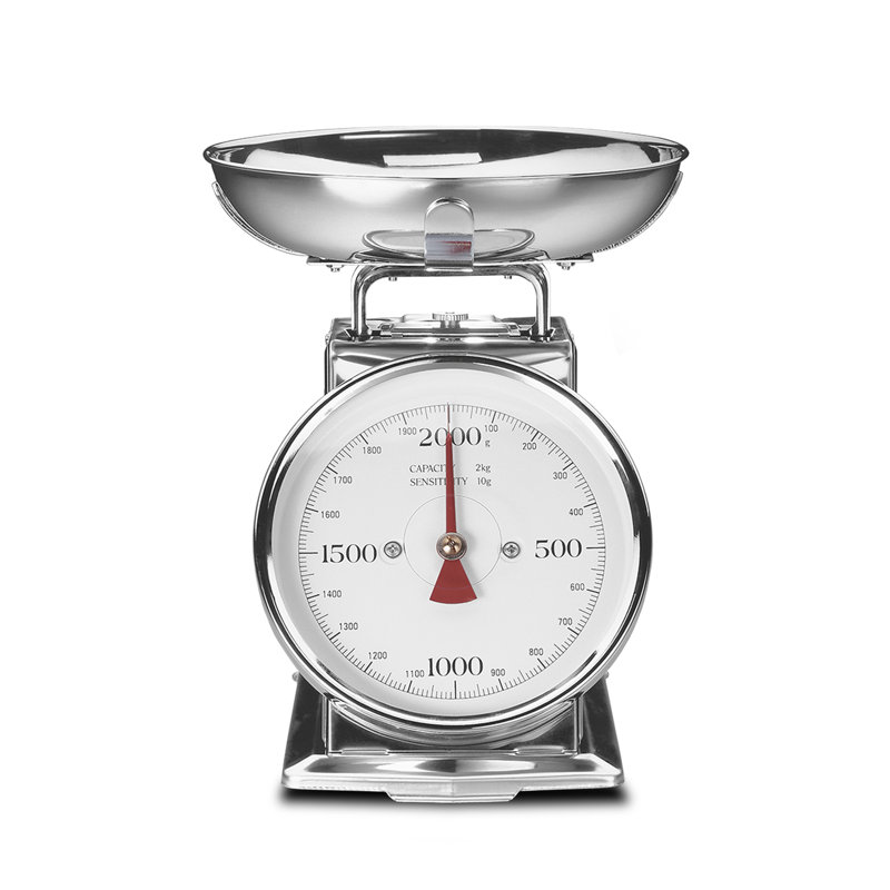 Gastroback Scale