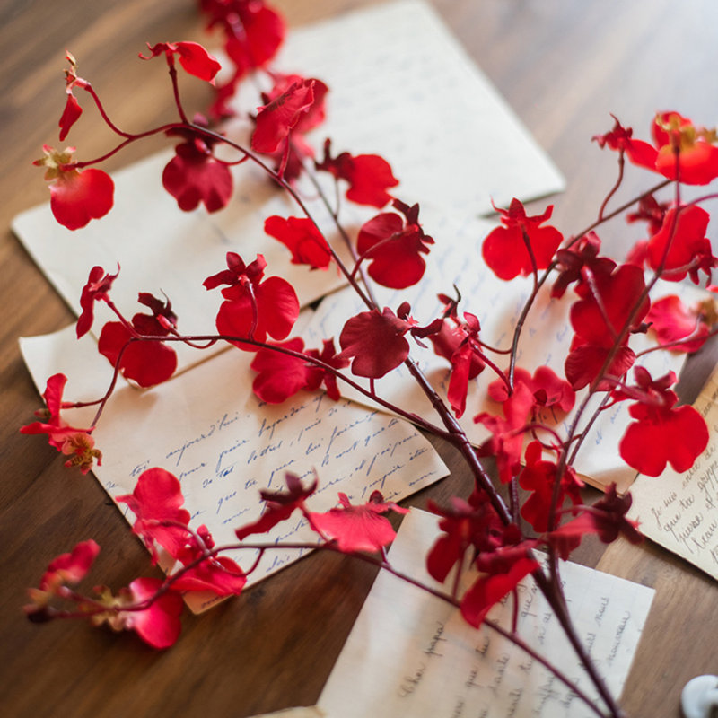 Tige d'orchidée impressionniste Oncidium, Rouge, 3 tiges