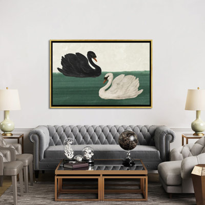 Black Swan White Swan