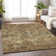Premium Machine Washable Prisco Brown Rug
