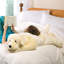 Coussin Labrador Retriever