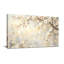 Plantes et fleurs Fleurs blanches sur fond doux-1238171675