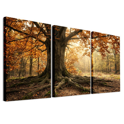 Arbre noueux aux racines apparentes dans un décor d'automne doré - Ensemble de 3 toiles murales