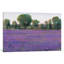 «Lavender Field I», reproduction d'art sur toile tendue-20832757-73146367-73146369