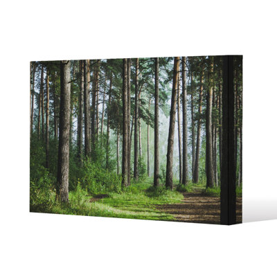 Beautiful summer forest with different trees Slim Style Canvas Print, 15mm Slim Real wood.