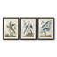 Cadre Pastel Birds IV Premium - prêt à accrocher-1447607541-1447607540