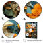 Impression sur toile «Orange Tangle II» - Collages abstraits-9976093-9976084