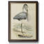 Toile encadrée de qualité supérieure embellie Antique Heron IV (ASH) - prête à être accrochée-1806648257