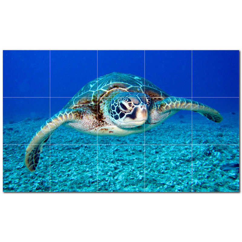 Murale en céramique satinée 6 po x 6 po Turtle Photo