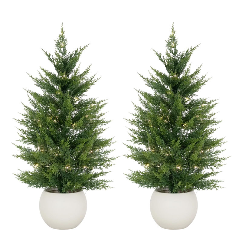 Plant, 91.4cm H x 25.5cm W x 96.5cm D