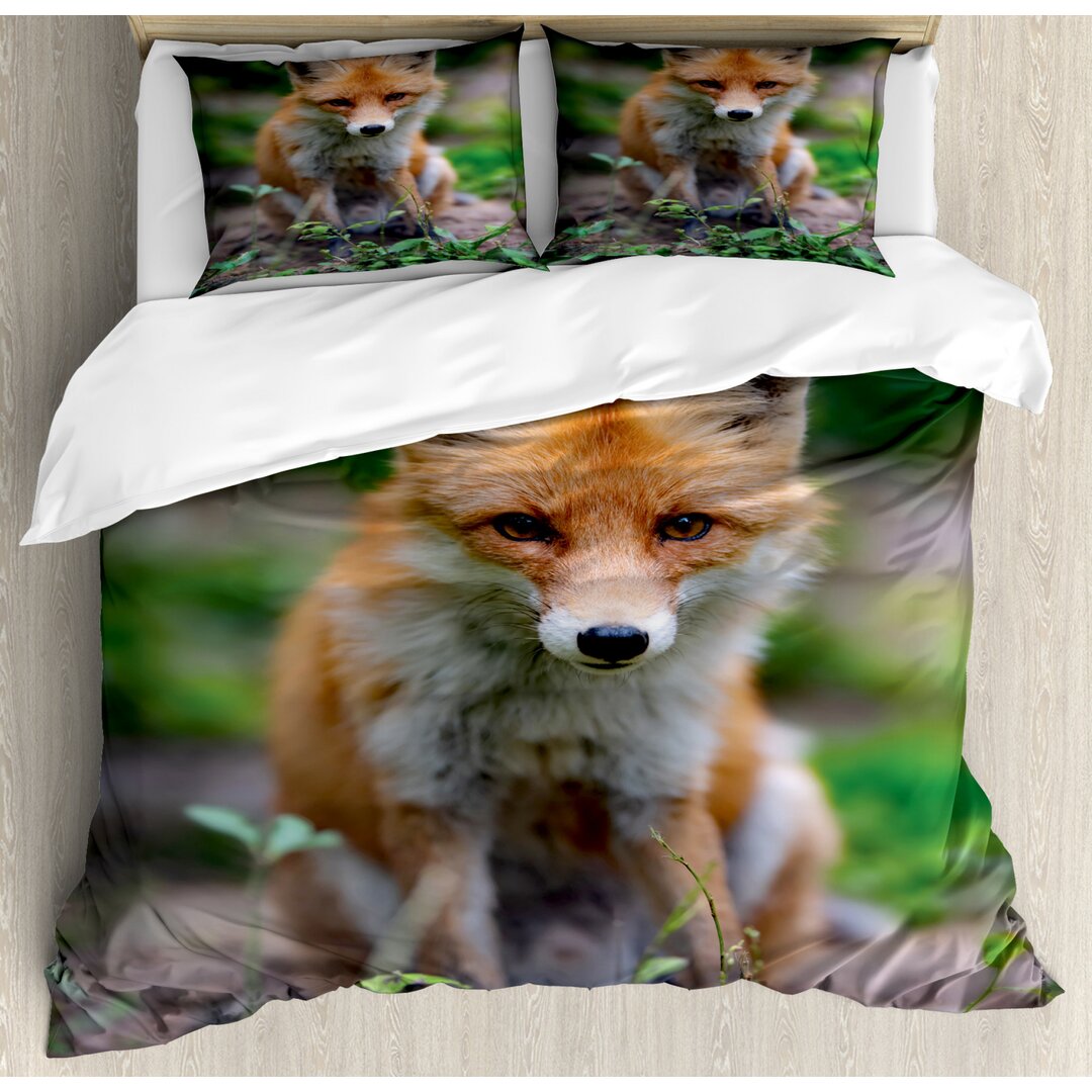 Bettbezug Set, Junge Coyote Foto, Fuchs, Ginger Mehrfarbig