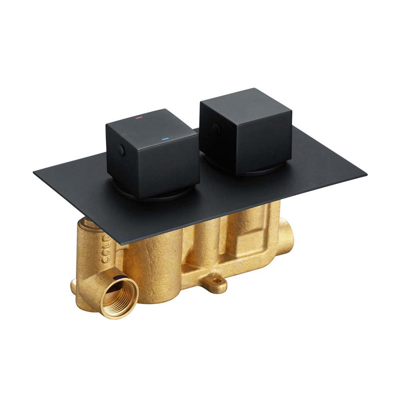 Zella Double Concealed Thermostatic Shower Valve