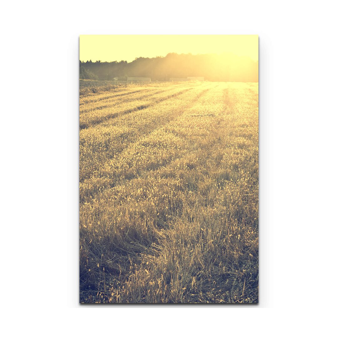 Leinwandbild Herbstliche Wiese in der Abendsonne