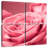 Harnek Pink Rose Macro