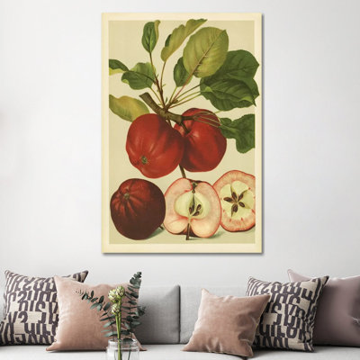 Red Veli Apples - Wrapped Canvas Print