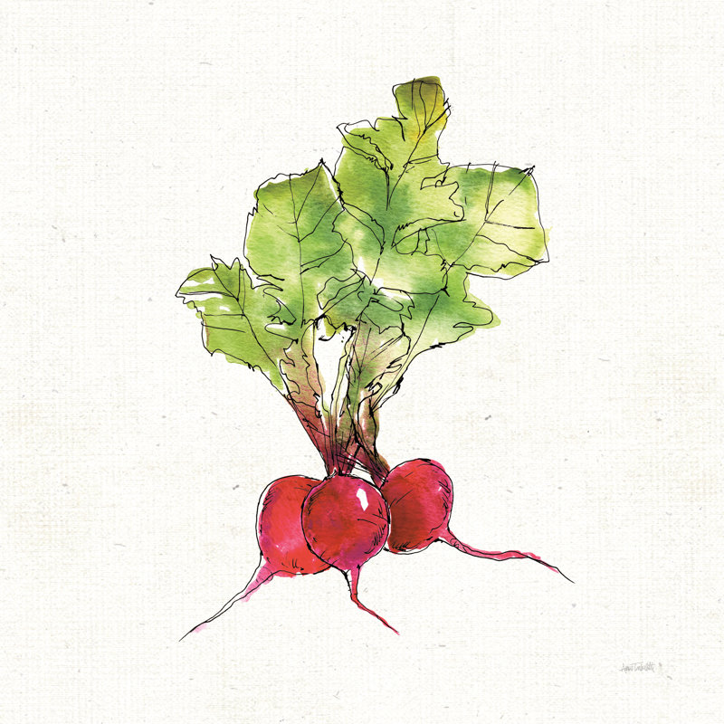 Veggie Market II Radish by Anne Tavoletti - Wrapped Canvas Painting, 30cm H x 30cm W