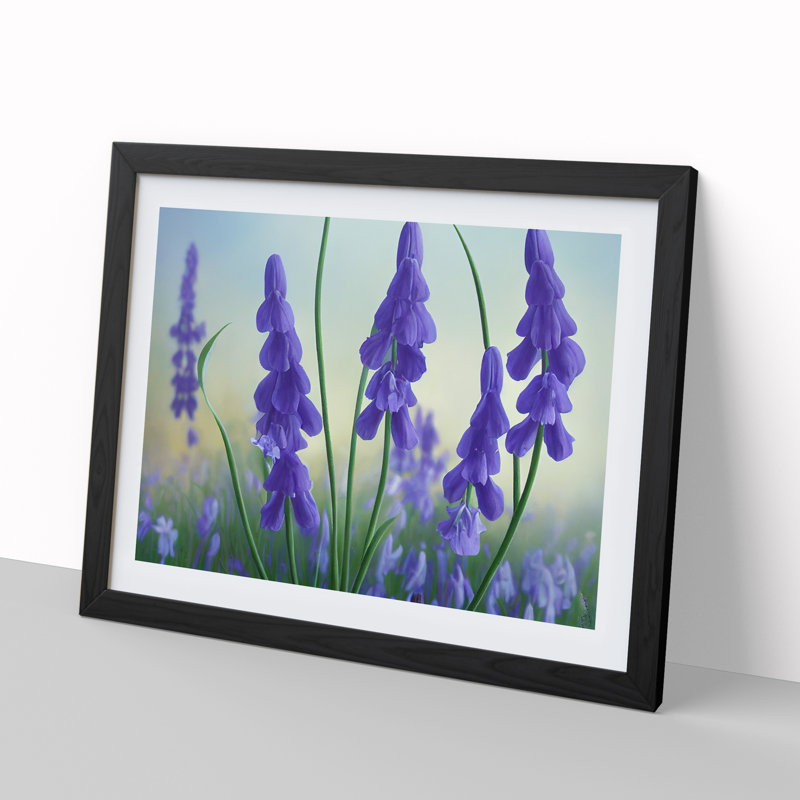 Bluebell Flower Vol.2 - Single Picture Frame Painting, Black Framed, 46cm H x 64cm W x 2cm D