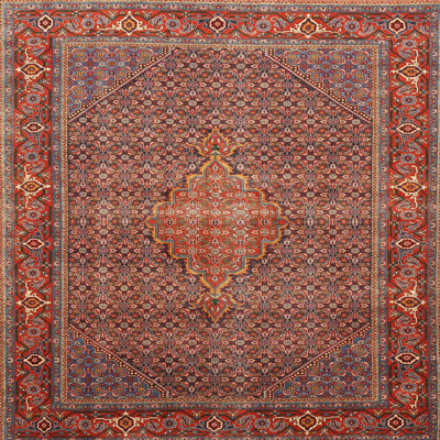 Oriental Indoor Rug