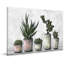 «Earthy Succulent Pots», reproduction sur toile tendue-748755603